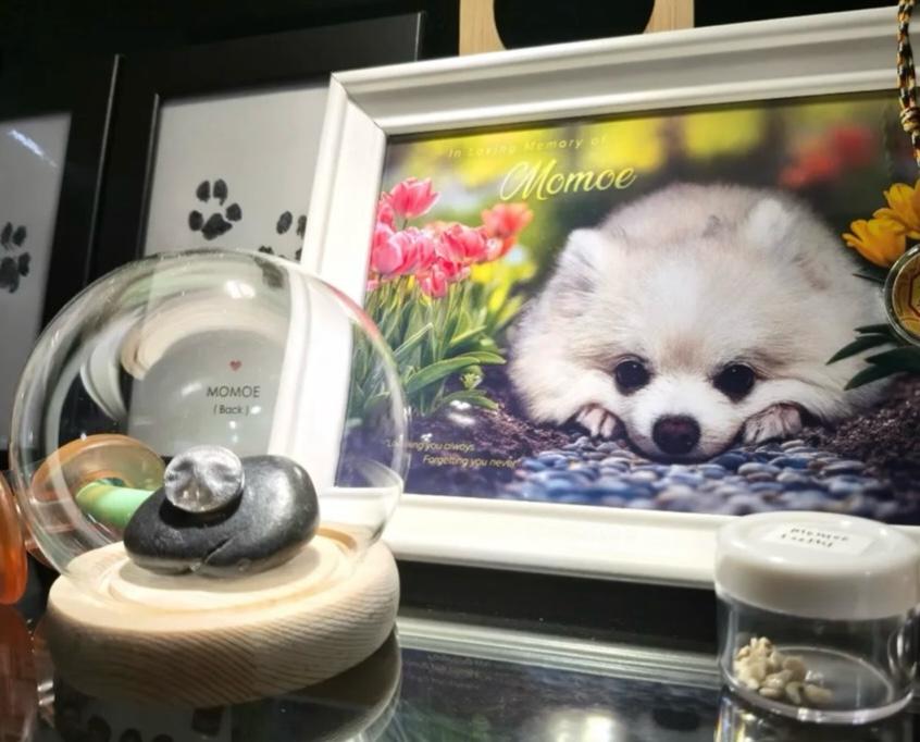 Small memorial corner with photo and silver keepsake